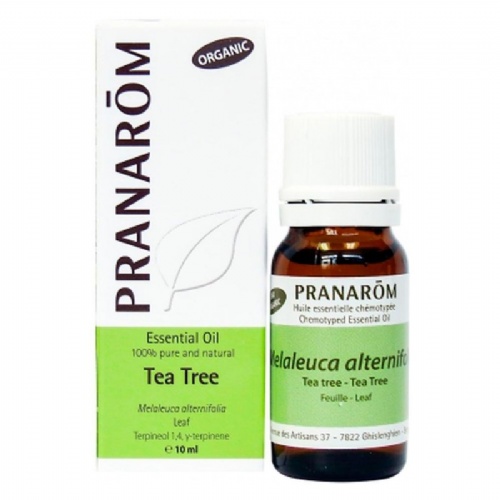 Aceite esencial arbol del te  1 envase 10 ml