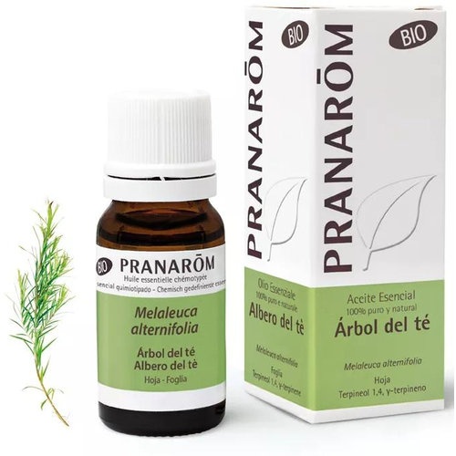 Aceite esencial arbol del te bio  1 envase 10 ml