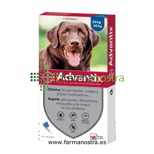 ADVANTIX SOLUCION SPOT-ON PARA PERROS DE MAS DE 25 HASTA 40 kg