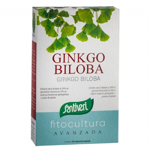 Ginko biloba fitocultura  40 capsulas