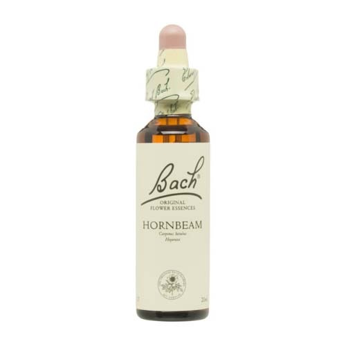 Bach 17 hornbeam 20 ml bach
