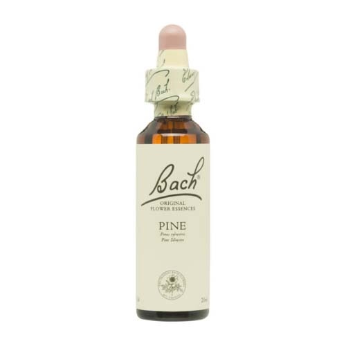 Bach 24 pine 20 ml bach