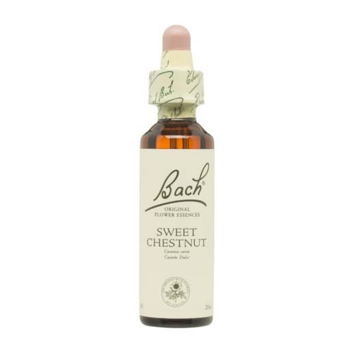 Bach 30 sweet chesnu 20ml bach