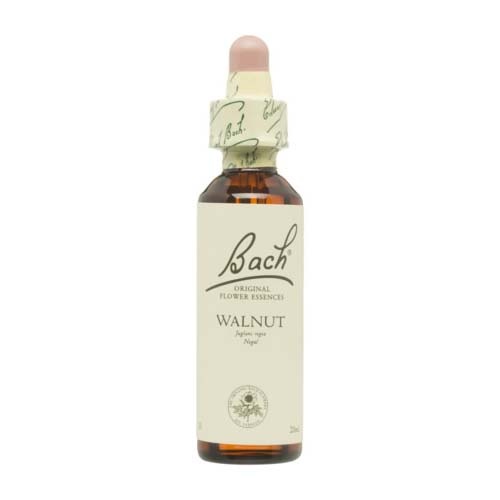Bach 33 walnut nogal 20ml bach