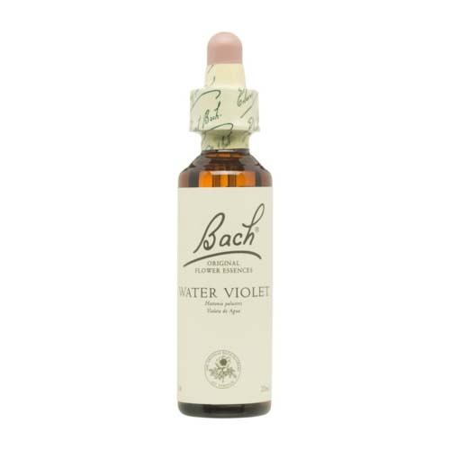 Bach 34 water violet 20ml bach