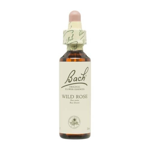 Bach 37 wild rosa 20 ml bach