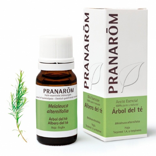 Aceite esencia arbol te 10 ml