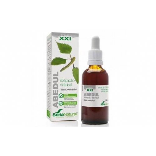 Soria natural ext.abedul siglo xxisoria natural
