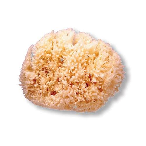SUAVINEX esponja baño infantil (natural)