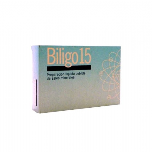 Biligo 15 litio 20 amp artesan