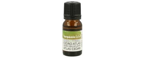 Terpenic cedro atlas bio 10 ml