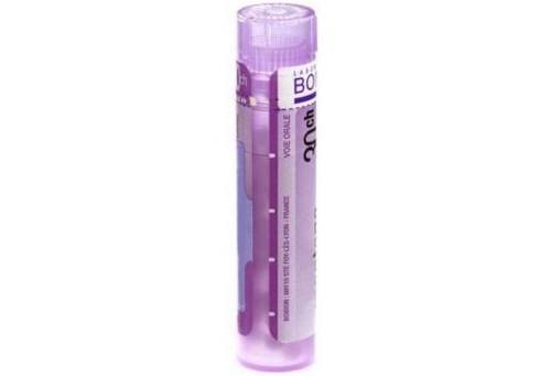 Boiron nux vomica 30ch