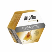 vitaflor jalea real mega vital ampolla bebible (1500 mg 200 ml 20 amp)