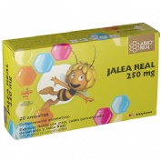 arkoreal jalea real (250 mg 20 ampollas 15 ml)