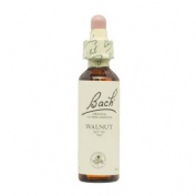 Bach 33 walnut nogal 20ml bach