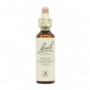 Bach 35 white chestnut 20 bach