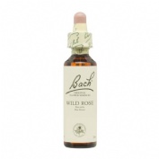 Bach 37 wild rosa 20 ml bach