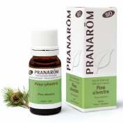 ACEITE ESEN BIO PINO SILVES 10