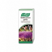 BOLDOCYNARA GTS A VOGEL