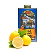 Sirope savil 1 l madal bal