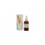 Soria extr. avena 50 cc