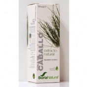 Soria extr cola de caballo