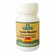 Cardo mariano 500mg 100co besl