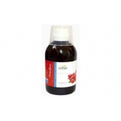 Sotya arandano rojo concentrado 250 ml