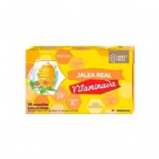 Arkoreal jalea real vitaminada 500 (20 ampollas)