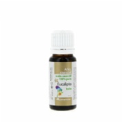 Arkoesencial aceite esencial de eucalipto (10 ml)
