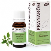 Aceite esencial ravintsara  1 envase 10 ml