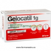 GELOCATIL 1 g SOLUCION ORAL,10 sobres